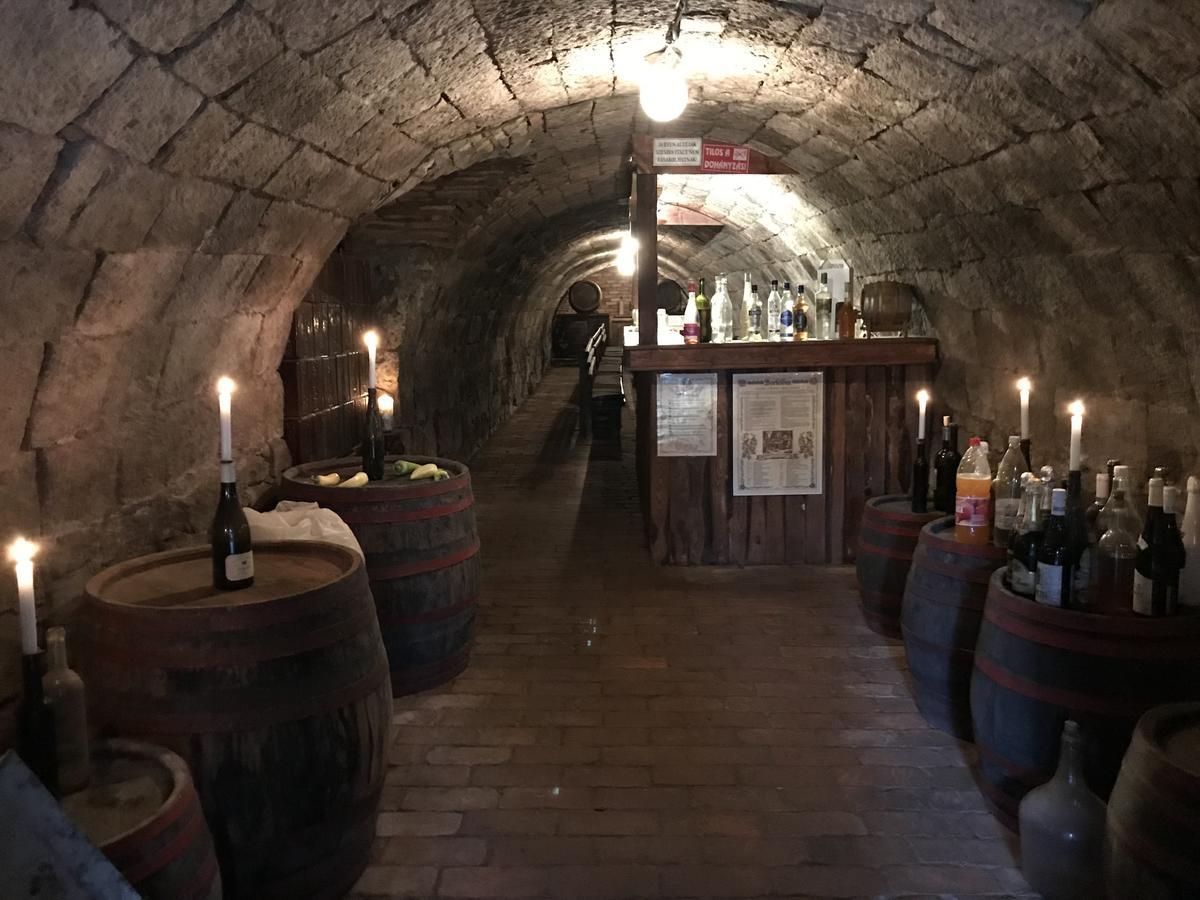 Ovar 12 Vendeghaz Tokaj Eksteriør bilde
